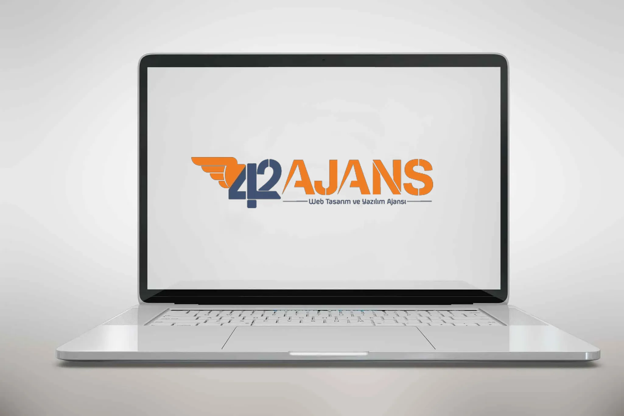 Professional SEO Tool License